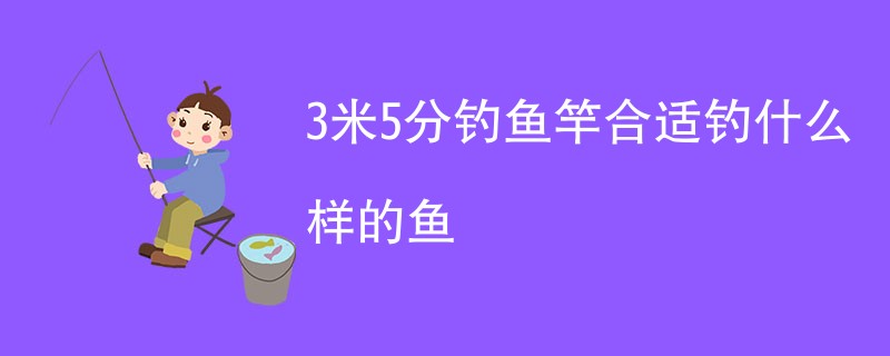 3米5分钓鱼竿合适钓什么样的鱼