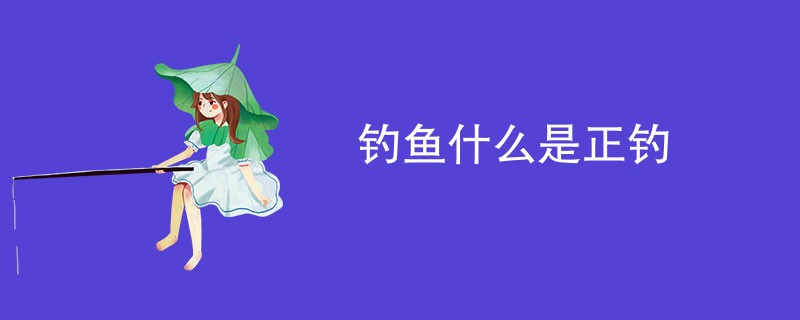 钓鱼什么是正钓