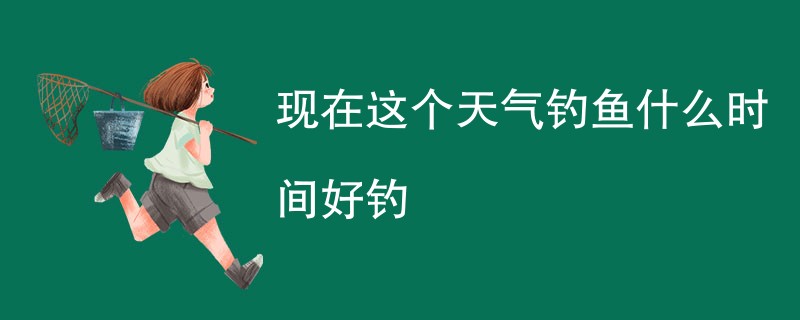 现在这个天气钓鱼什么时间好钓