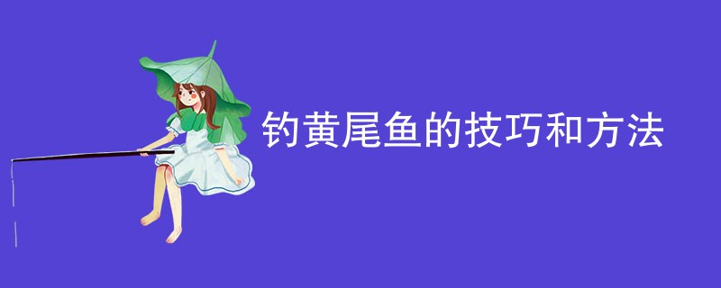 钓黄尾鱼的技巧和方法