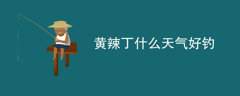 黄辣丁什么天气好钓