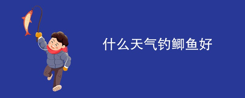 什么天气钓鲫鱼好