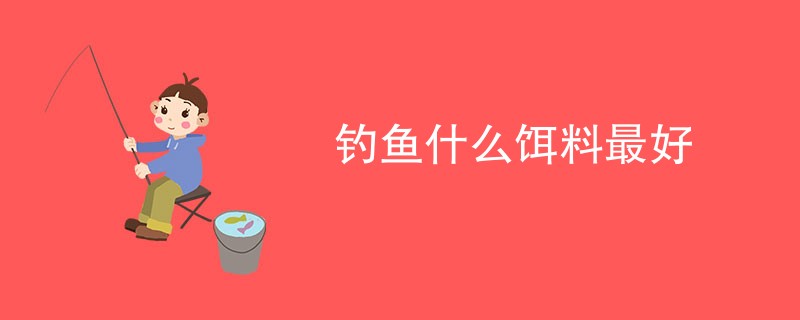 钓鱼什么饵料最好