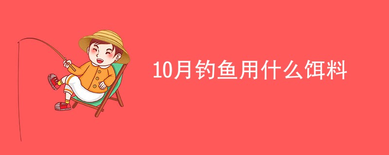 10月钓鱼用什么饵料