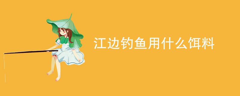 江边钓鱼用什么饵料