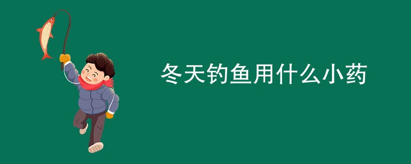 冬天钓鱼用什么小药