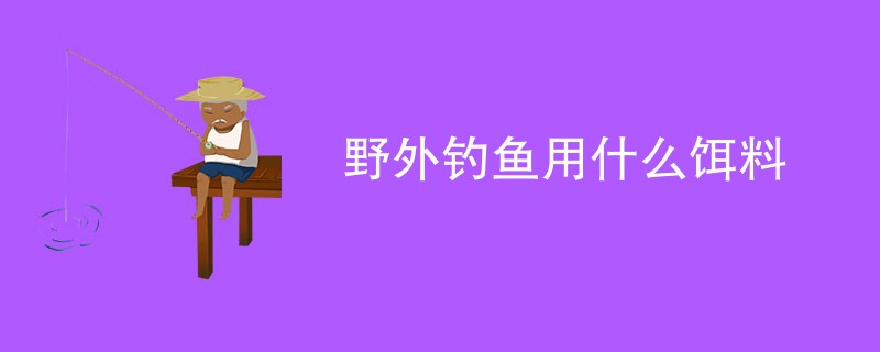 野外钓鱼用什么饵料