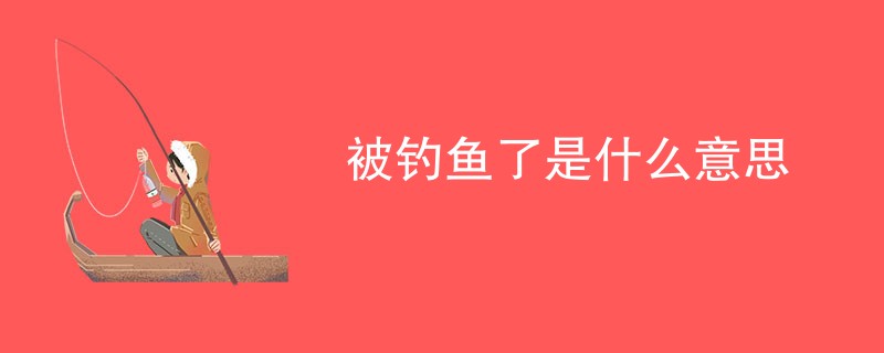 被钓鱼了是什么意思