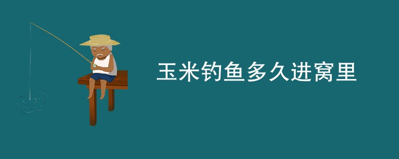 玉米钓鱼多久进窝里