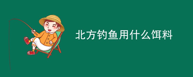 北方钓鱼用什么饵料