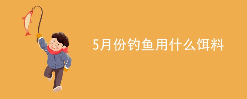 5月份钓鱼用什么饵料